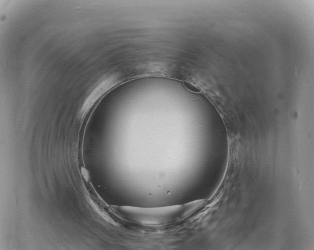 X0000060750051200511171133