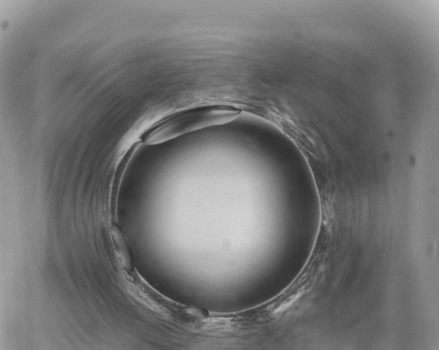 X0000060750052200511171133