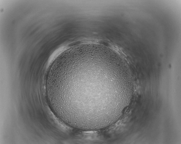 X0000060750053200511171133