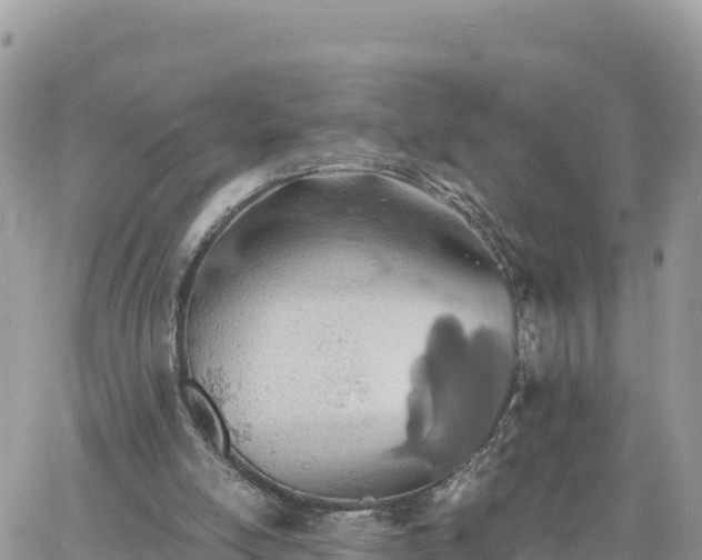 X0000060750054200511171133