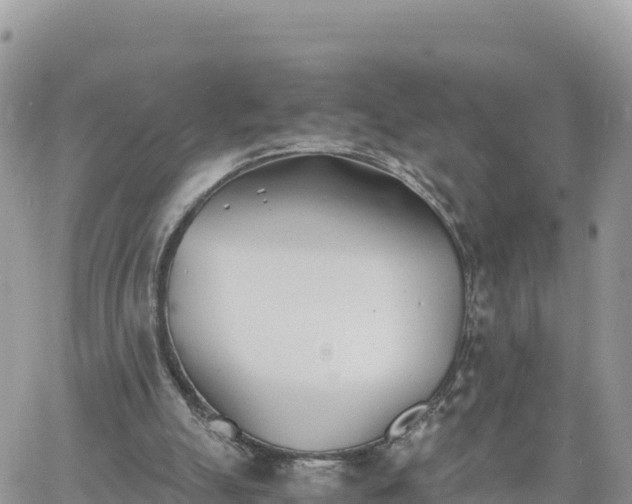 X0000060750055200511171133