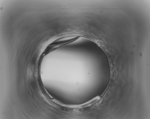 X0000060750056200511171133