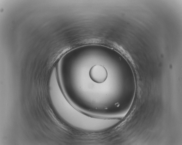 X0000060750057200511171133