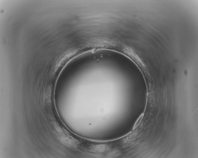 X0000060750058200511171133