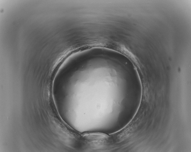 X0000060750059200511171133