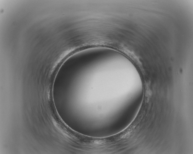 X0000060750060200511171133