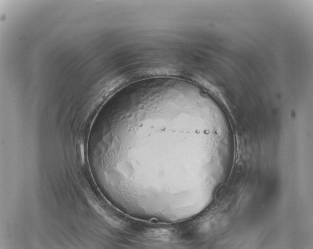 X0000060750061200511171133