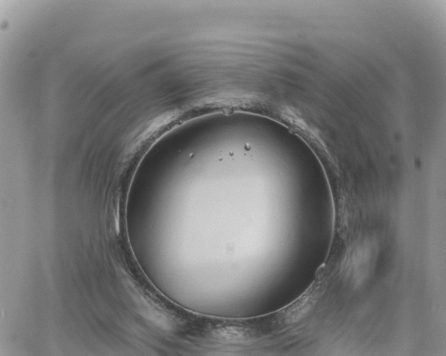 X0000060750062200511171133