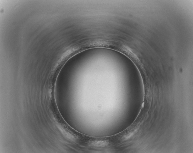 X0000060750063200511171133