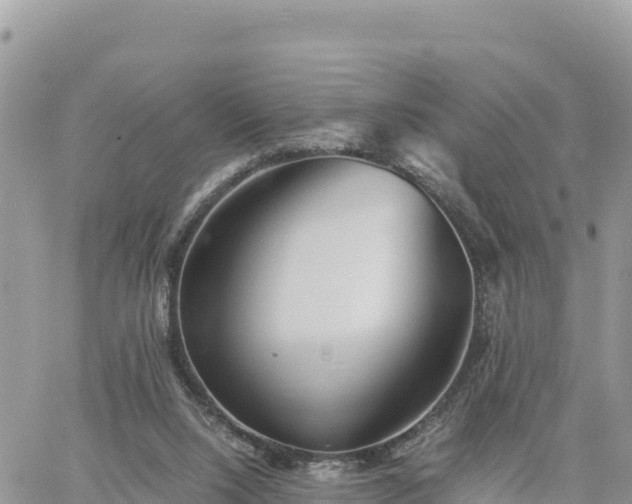 X0000060750064200511171133