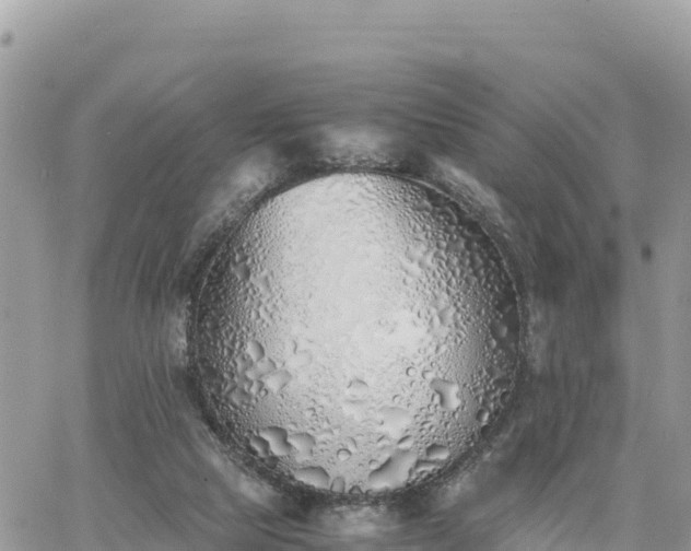 X0000060750065200511171133