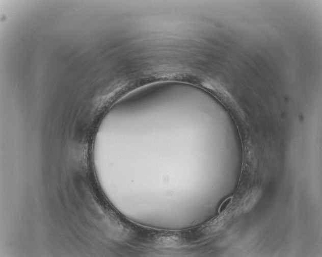 X0000060750066200511171133