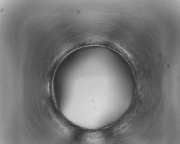 X0000060750067200511171133