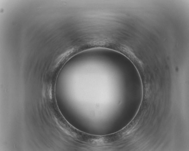 X0000060750068200511171133