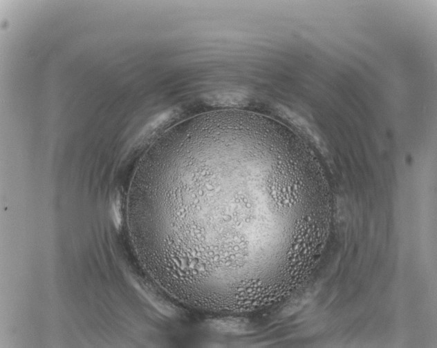 X0000060750069200511171133