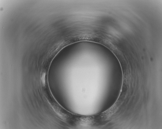 X0000060750070200511171133