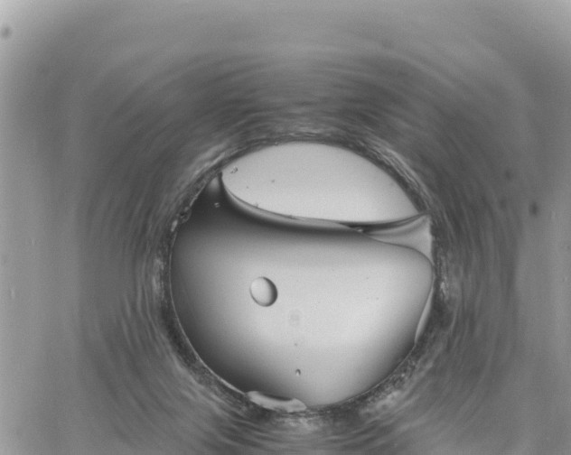 X0000060750071200511171133