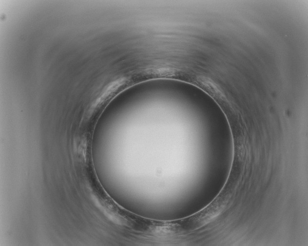 X0000060750072200511171133