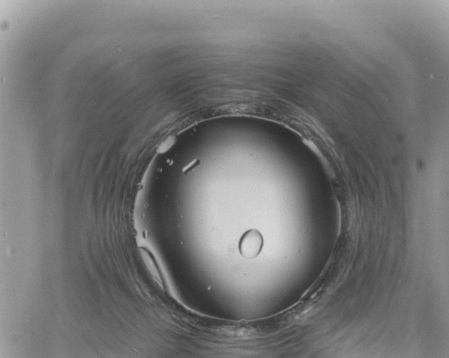 X0000060750073200511171133