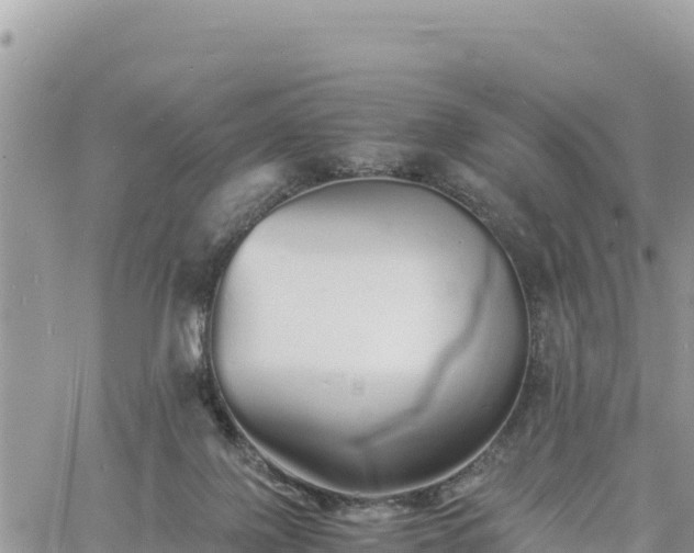 X0000060750075200511171133