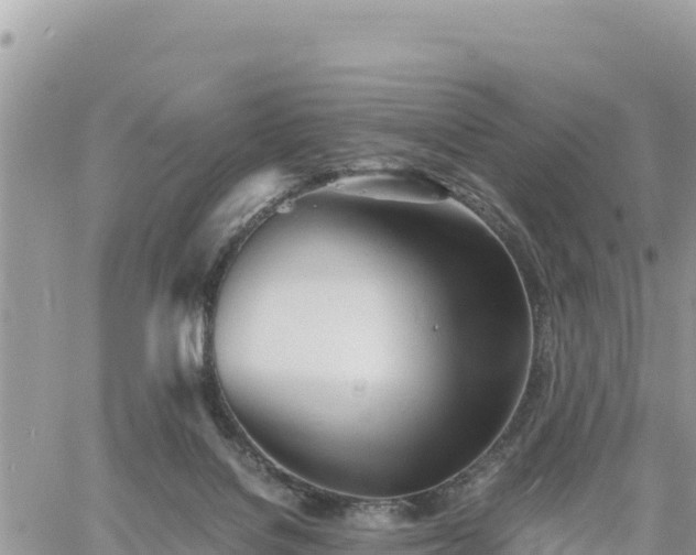 X0000060750076200511171133