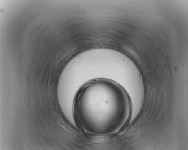 X0000060750077200511171133