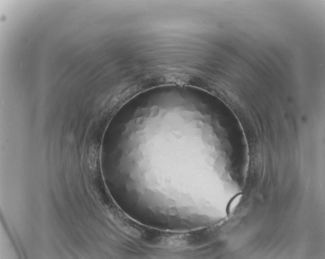 X0000060750078200511171133