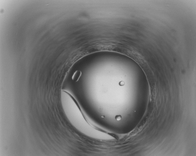 X0000060750079200511171133