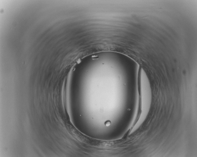 X0000060750080200511171133