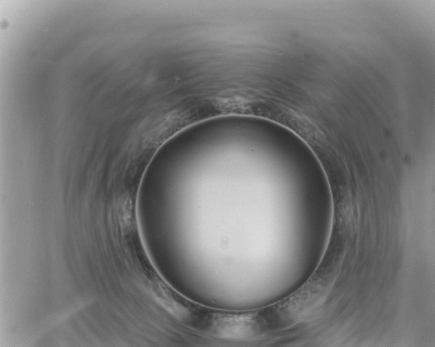 X0000060750081200511171133