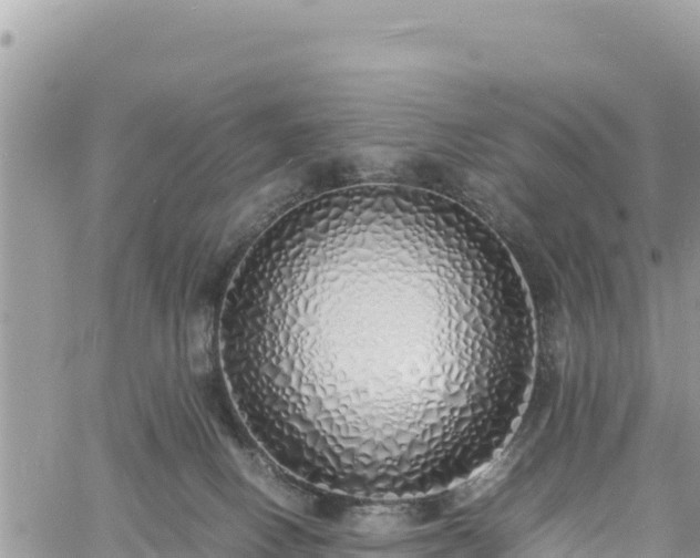 X0000060750082200511171133