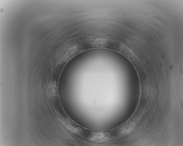 X0000060750083200511171133