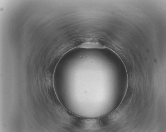 X0000060750085200511171133