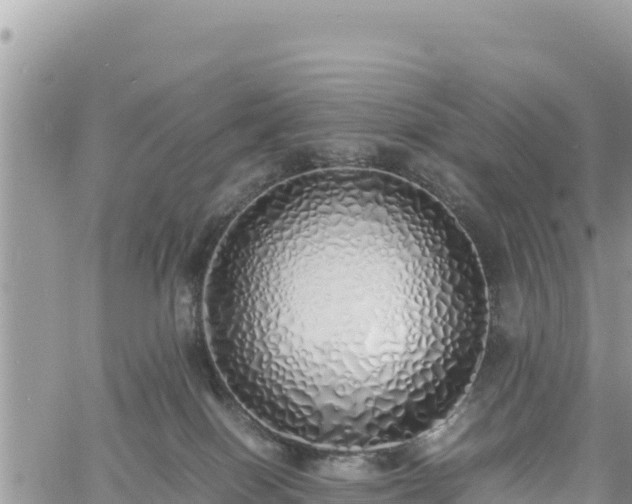 X0000060750086200511171133