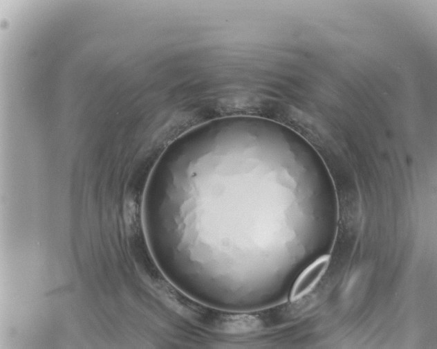 X0000060750087200511171133