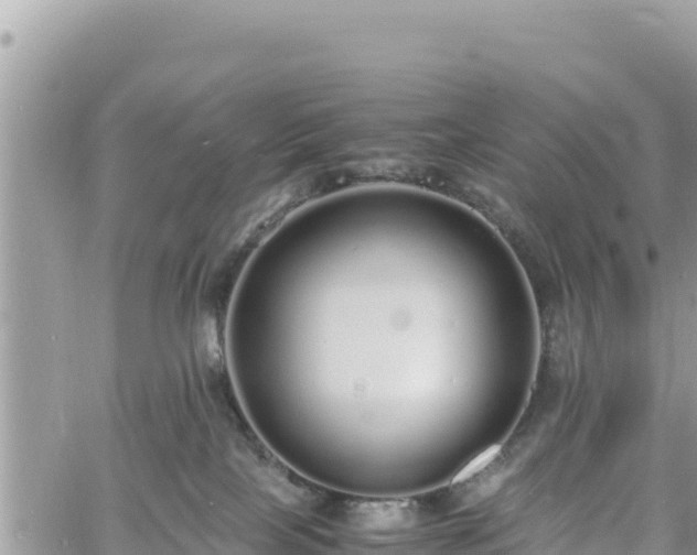 X0000060750089200511171133