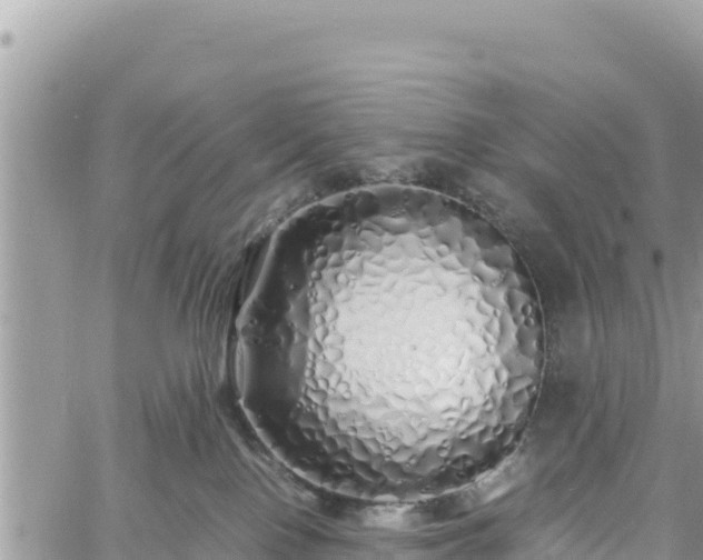 X0000060750090200511171133