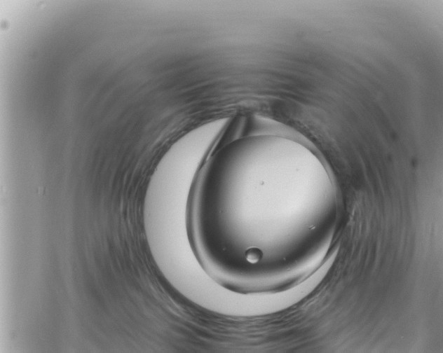 X0000060750091200511171133