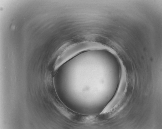 X0000060750092200511171133