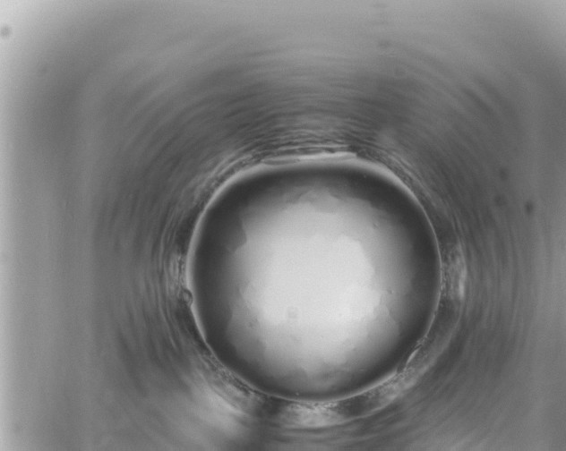 X0000060750093200511171133