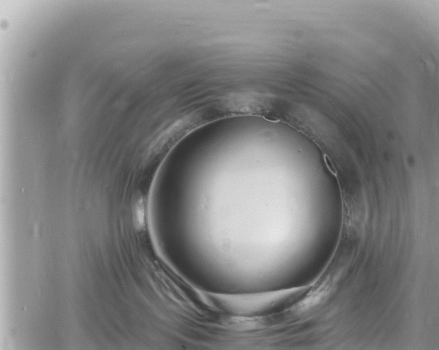 X0000060750095200511171133