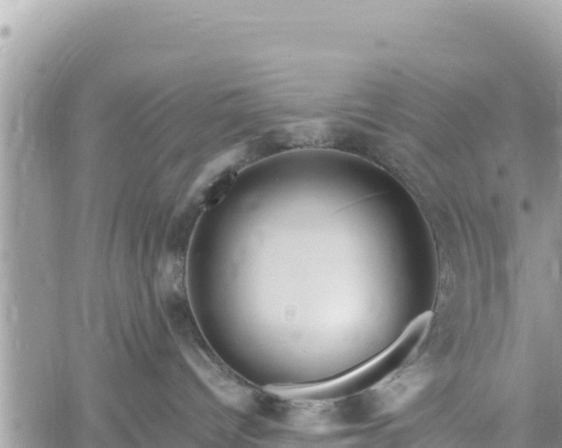 X0000060750096200511171134