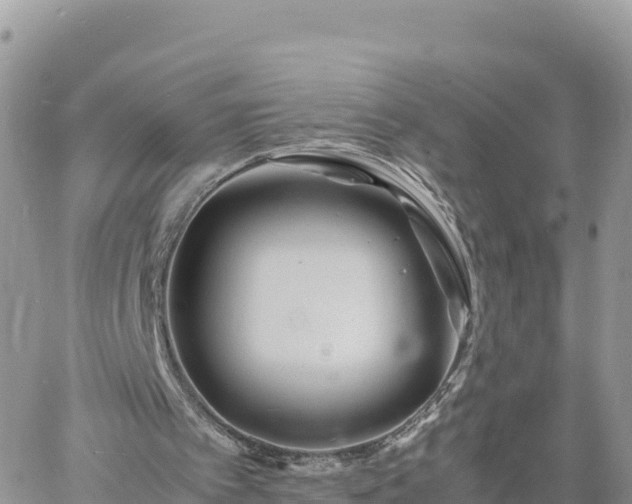 X0000060750097200511171133