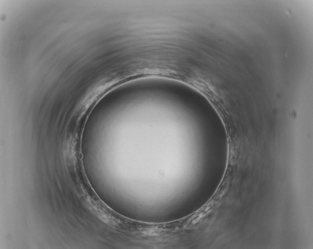 X0000060750098200511171133