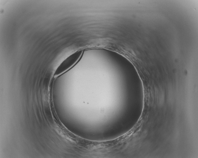 X0000060750100200511171133