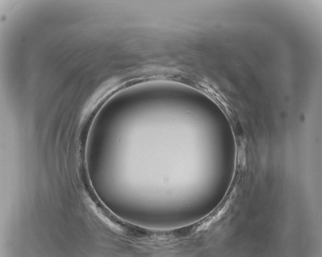 X0000060750101200511171133