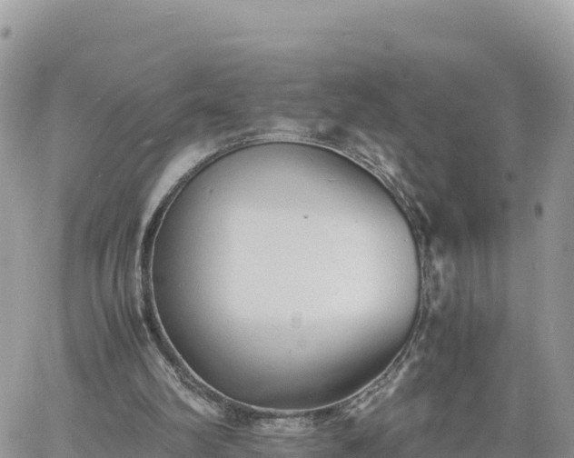 X0000060750102200511171133