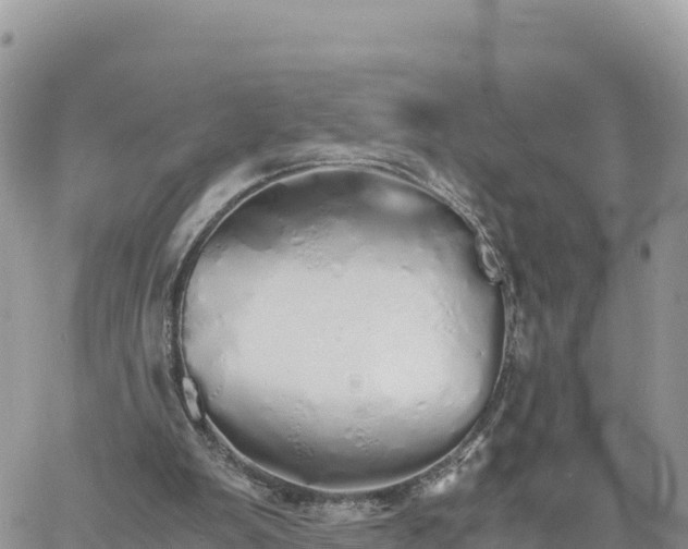 X0000060750103200511171133