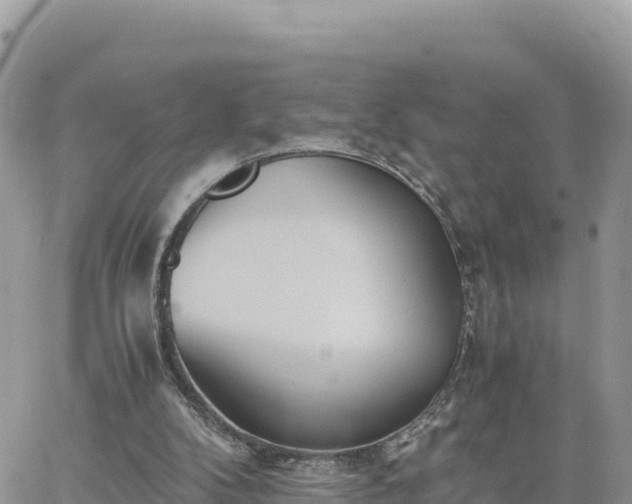 X0000060750104200511171133