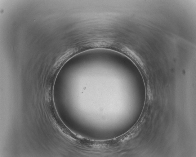 X0000060750105200511171133